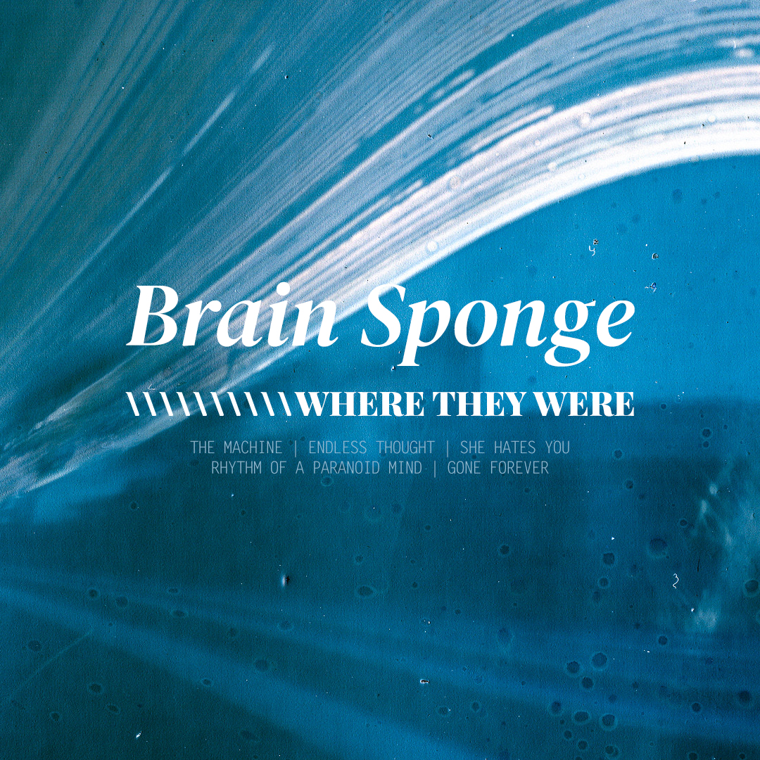 Brain Sponge - Where They Were